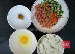 Curry Fried Rice Recipe Illustration 1