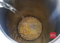 Mirun Soy Milk Recipe Illustration 4