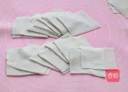 Illustration of handmade fresh meat wontons 6