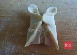 Xinwen Gourmet Butterfly Steamed Dumplings Illustration 8