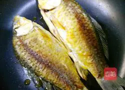 Illustration of how to make crucian carp tofu soup 3