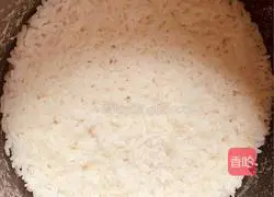 Japanese style cold buckwheat noodles and cheese sushi love bento illustration 5