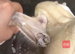 Illustration of how to make shredded chicken (cilantro version) 3