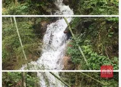 Yangmei Drink Illustration of how to do it 4