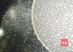 Illustration of how to cook mango sago 5