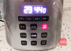 Pumpkin Millet Paste (Wall Breaker Version) Illustration 4 