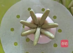 Illustration of how to make succulent-shaped steamed buns 21