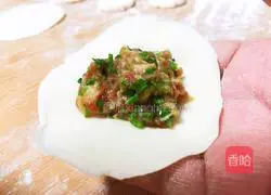 Illustration of how to make pork and garlic dumplings 10