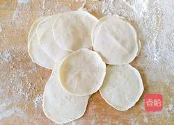 Illustration of how to make zucchini and fungus stuffed dumplings 16