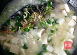 Illustration of how to make crucian carp tofu soup 14