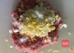 Illustration of how to make Pan-fried Chao Shou 1