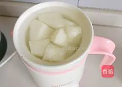 Winter Melon Pork Ribs Soup Recipe Illustration 4