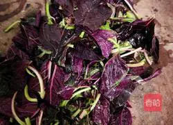 Illustration of how to make amaranth pimple soup 7