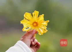 Illustration of how to make pineapple flower and dried pineapple fruit 6