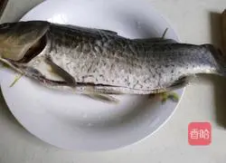 Illustration of how to make crucian carp and tofu soup 1