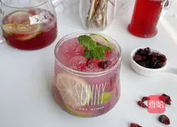 Cranberry Lime Illustration of making sparkling water 9