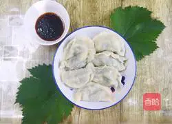 Alfalfa dumplings recipe 9