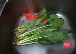 Flowers blooming in all seasons Illustration of how to make steamed dumplings with vegetables and shrimps 1