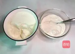 Yoghurt Papaya Cup Recipe Illustration 3