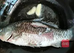 Illustration of how to make tomato, crucian carp and tofu soup 5