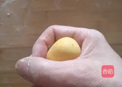 Lemon Packet Recipe Illustration 7