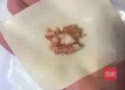 Illustration of how to make wontons 14