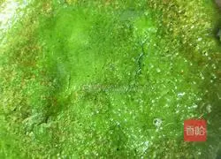 Illustration of how to make spinach egg pancake 5