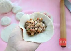 Mushrooms, carrots and fresh meat Illustration of how to make a bag 10