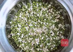 Illustration of how to make lily barley and mung bean drink 2