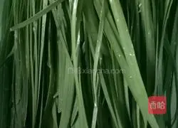 Illustration of how to make leek and pork dumplings 2