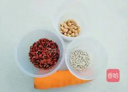 Adzuki Bean and Barley Illustration of how to make carrot nutrition lake 1