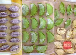 Illustration of three-color dumplings stuffed with pork and radish filling 12