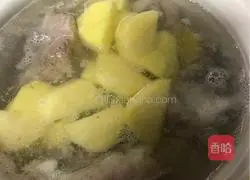 Cantonese-style tomato and potato ribs soup recipe 5