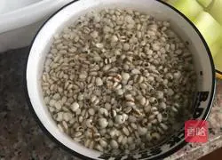 Winter Melon, Barley and Pork Ribs Soup Recipe Illustration 1