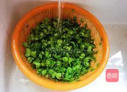 Illustration of how to make steamed yuqianwowo 1