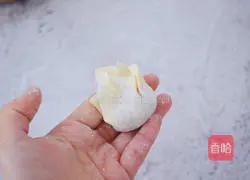 Illustration of how to make shrimp and pork wontons 12