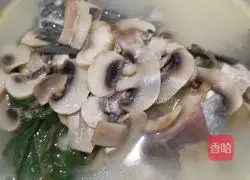 Mushroom and crucian carp soup recipe illustration 6
