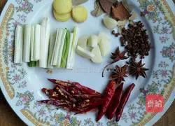 Braised Beef Noodles Recipe Illustration 4