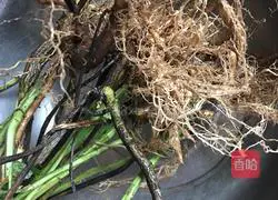 Illustration of how to make chicken stewed with parsnips 1