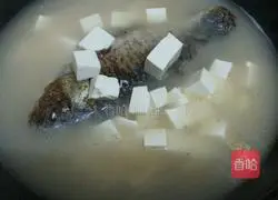 Illustration of how to make tofu and crucian carp soup 6