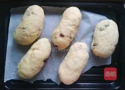 Milk Cranberry Bread Recipe Illustration 12