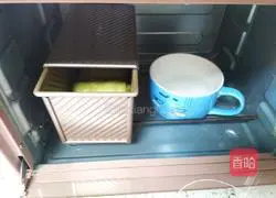 Illustration of Matcha Cranberry Toast 14