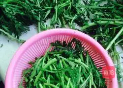 Garlic chrysanthemum recipe 1