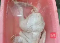 Astragalus and Danggui Chicken Soup Recipe Illustration 1