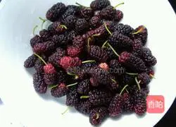 Illustration of how to make mulberry juice 1