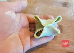 Xinwen Gourmet Style Steamed Dumplings Illustration 13