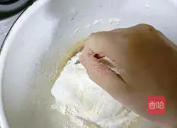 Illustration of handmade assorted fried dumplings 1