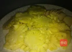Pineapple enzyme recipe 1