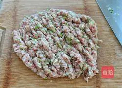 Illustration of how to cook meat on fire 5