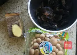 Chicken stew Illustration of how to cook the pot 1